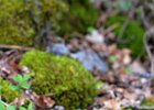DSC_1683.jpg