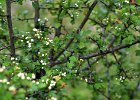 DSC_1684.jpg