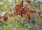 DSC_1688.jpg