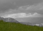 DSC_1702.jpg