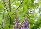 DSC_1704.jpg