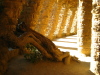 Vignette barcelona_081.jpg 