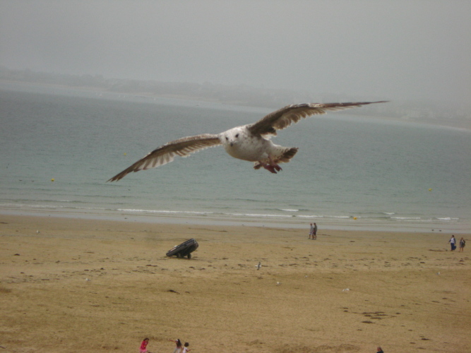 Diapositive Bretagne_030.jpg (125ko)