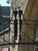 Vignette Bretagne_142.jpg 