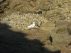 Vignette Bretagne_178.jpg 