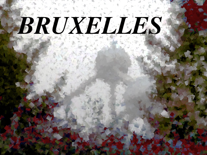 bruxelles2010