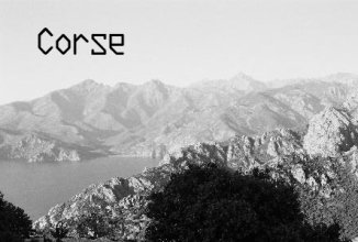 corse2006
