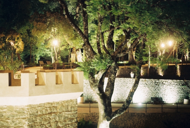 Diapositive night_tree.jpg 