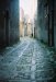 Vignette street1.jpg 