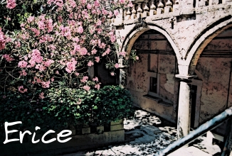 erice2007