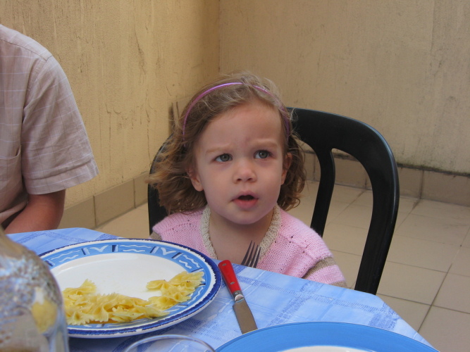 Diapositive IMG_0162.jpg (139ko)