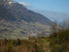 Vignette 2008-03-08_10.jpg 