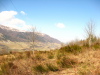 Vignette 2008-03-08_29.jpg 