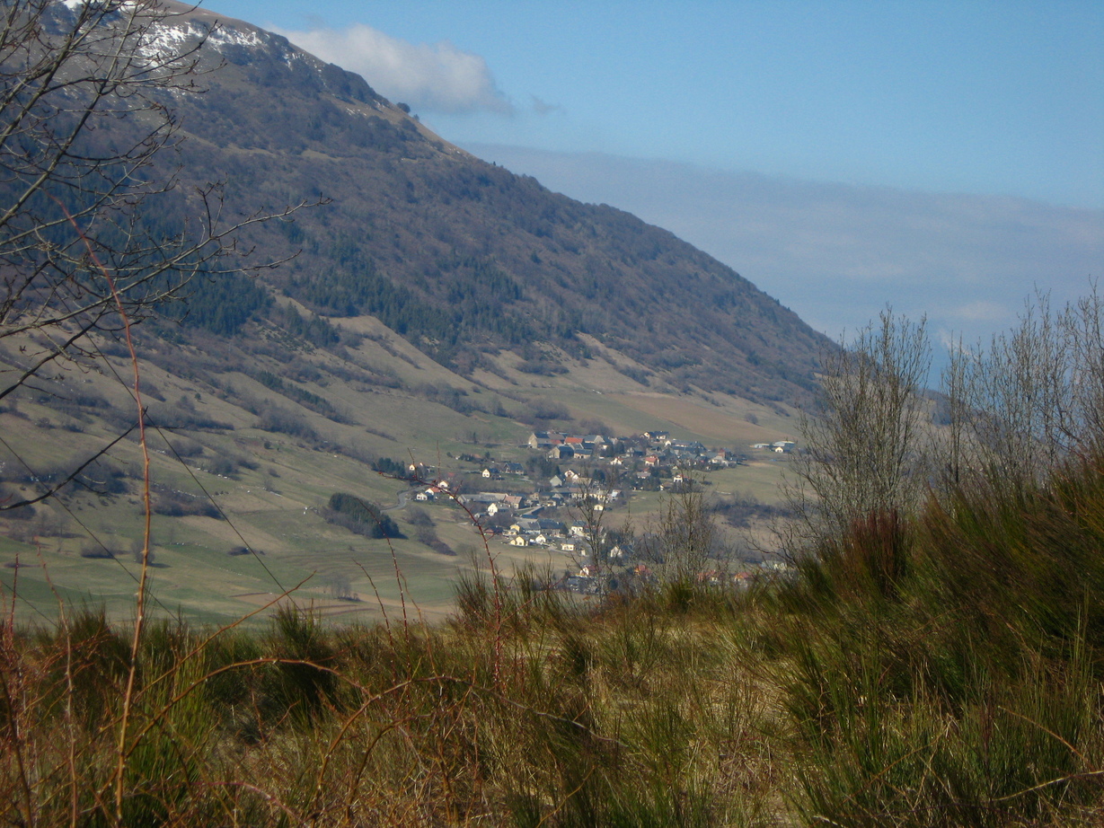 2008-03-08_10.jpg 