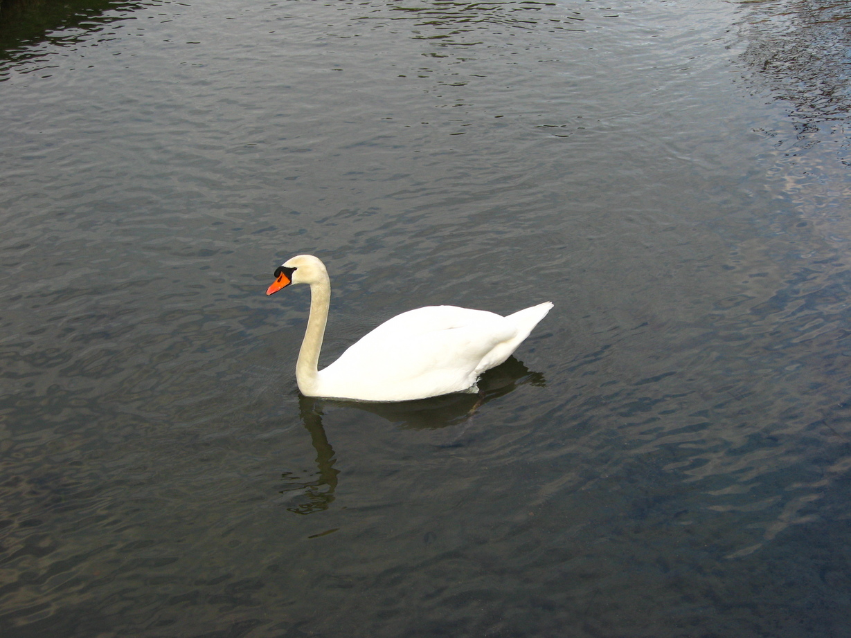 2008-03-08_14.jpg 