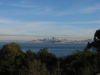 Vignette sf2009-12-19_09.jpg 