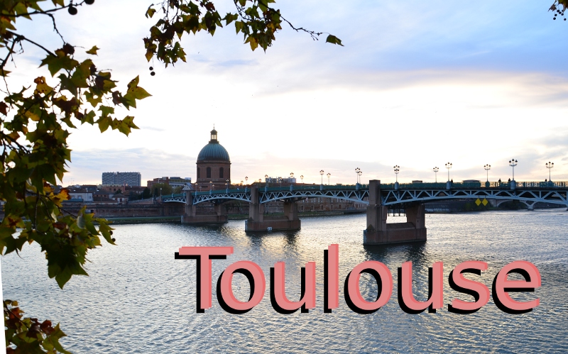 toulouse2011