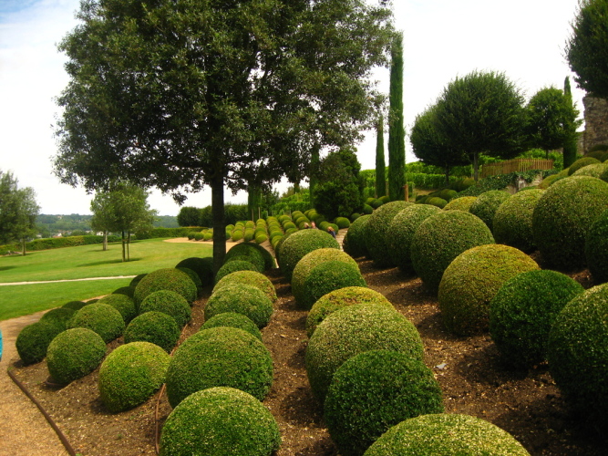 Diapositive Touraine_026.jpg (272ko)